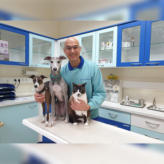 Worauf es beim vegan Füttern ankommt