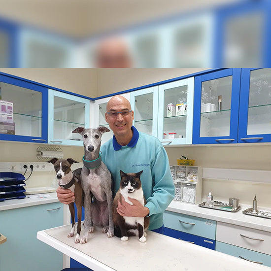 Hunde vegan füttern? Aber natürlich!