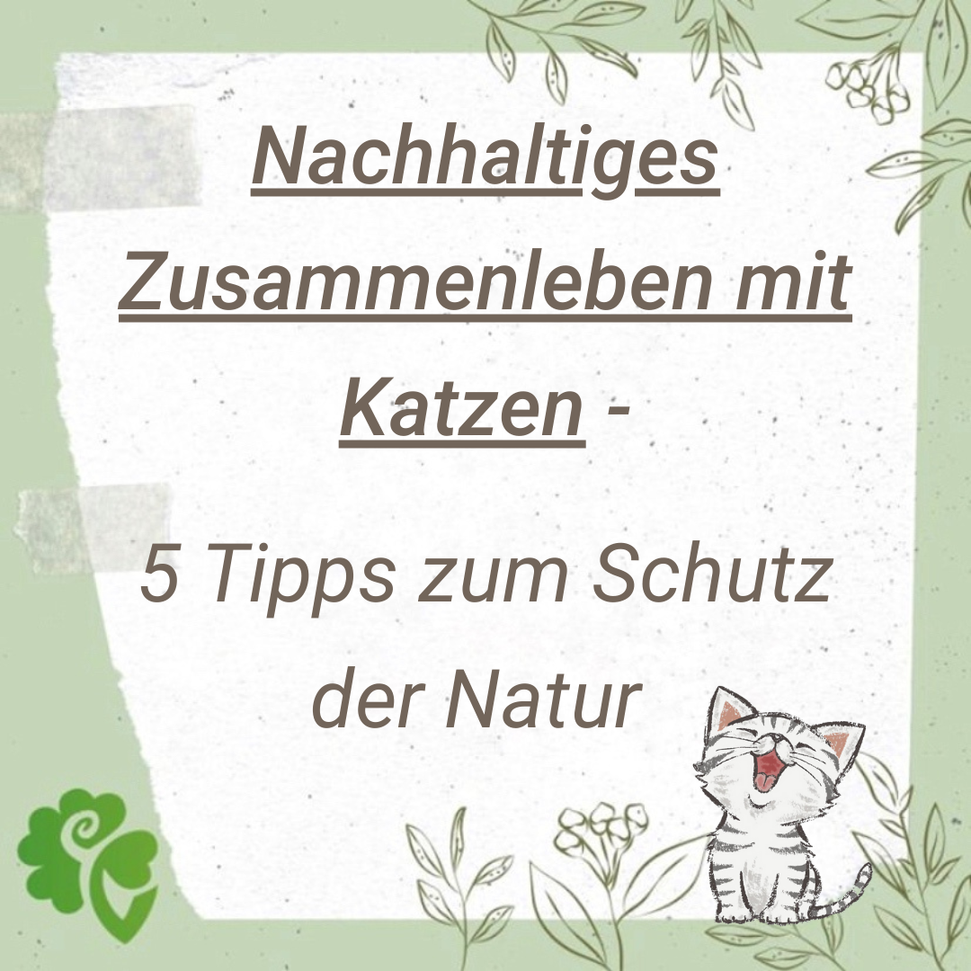 Bild: Nachhaltiges Zusammenleben mit Katzen. 5 Tipps zum Schutz der Natur