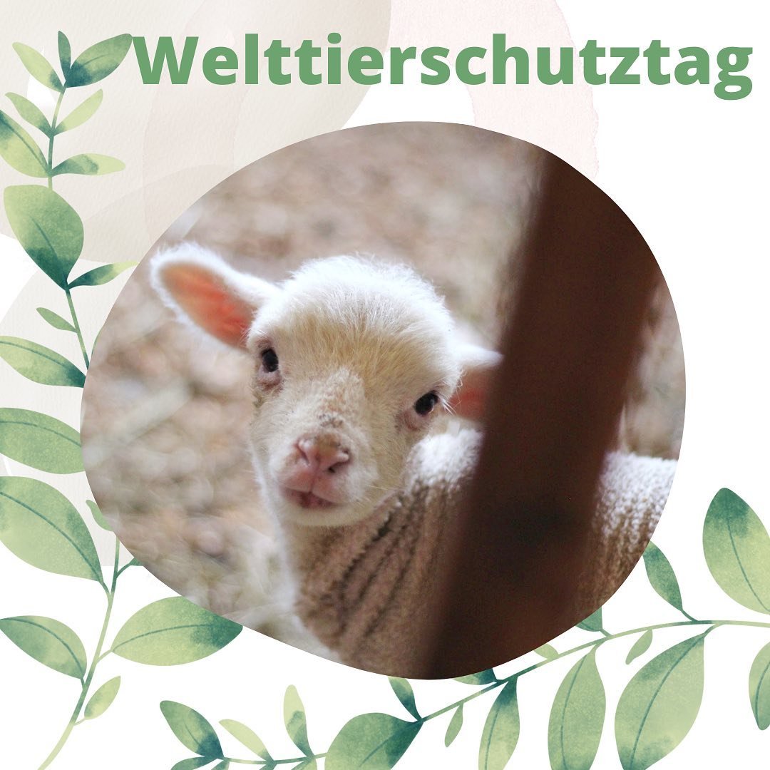 Welttierschutztag 2021