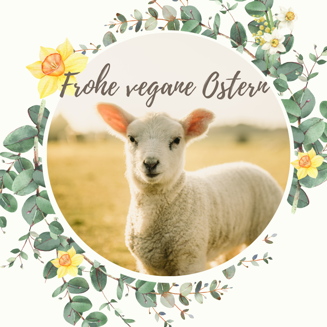 Frohe vegane Ostern Lämmchen