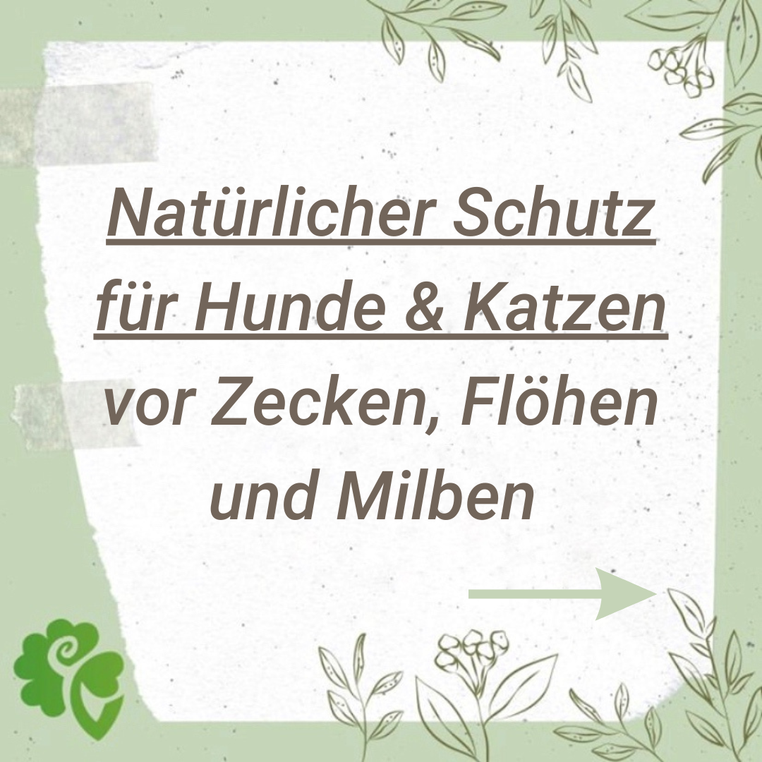 Natürlicher Schutz für Hunde und Katzen vor Zecken, Flöhen und Milben