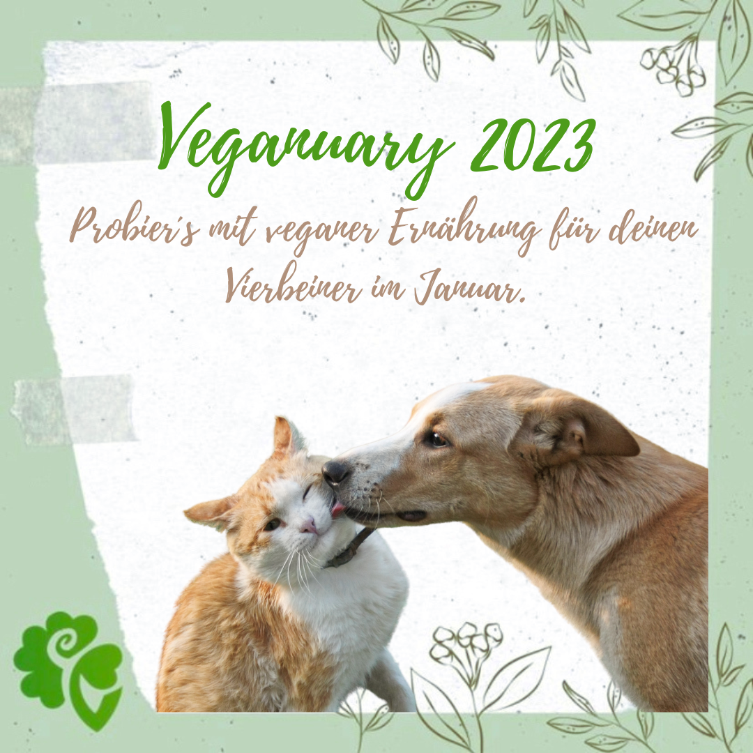 Grafik Veganuary 2023