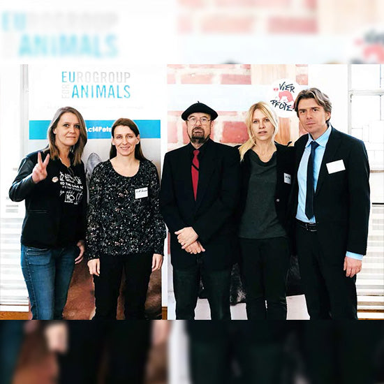 Vierglück Team in Brüssel