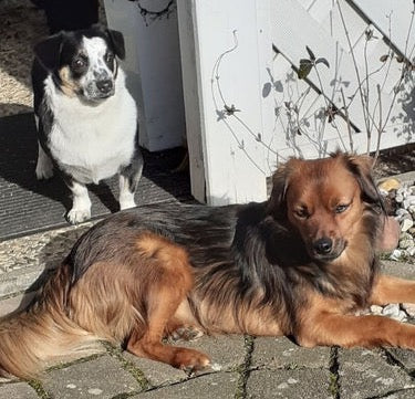 André mit Via und Tara