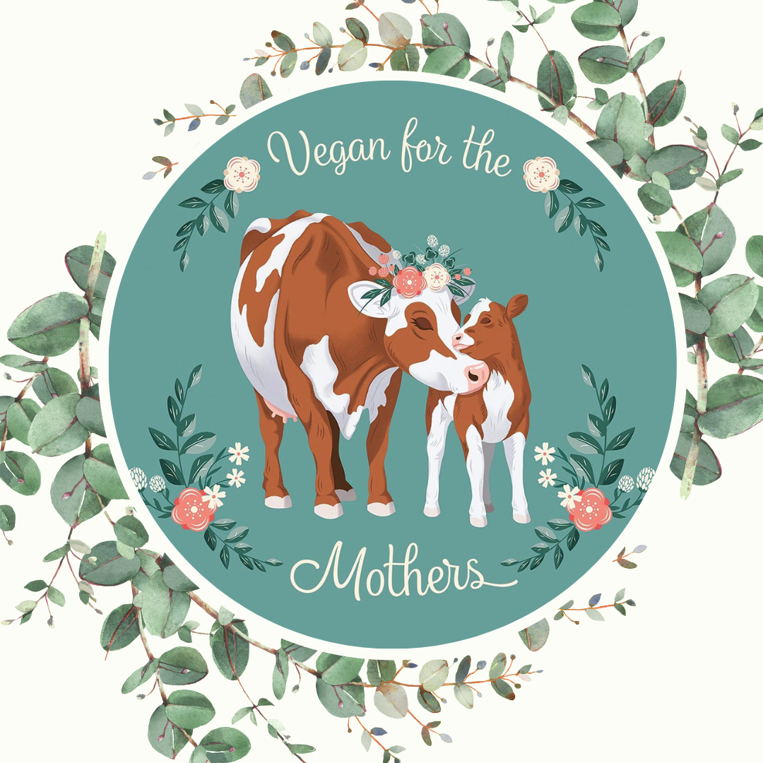 Bild: Mutterkuh und Kälbchen. Vegan für die Mütter