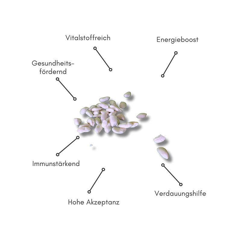 BIOPUR Reis-Pops