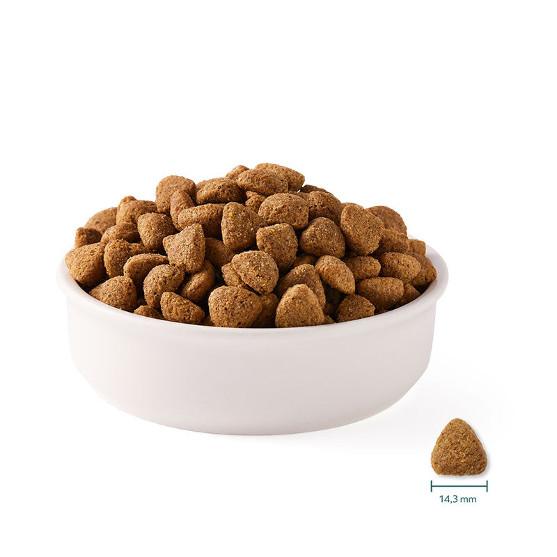 Yarrah Bio-Hundefutter Vega