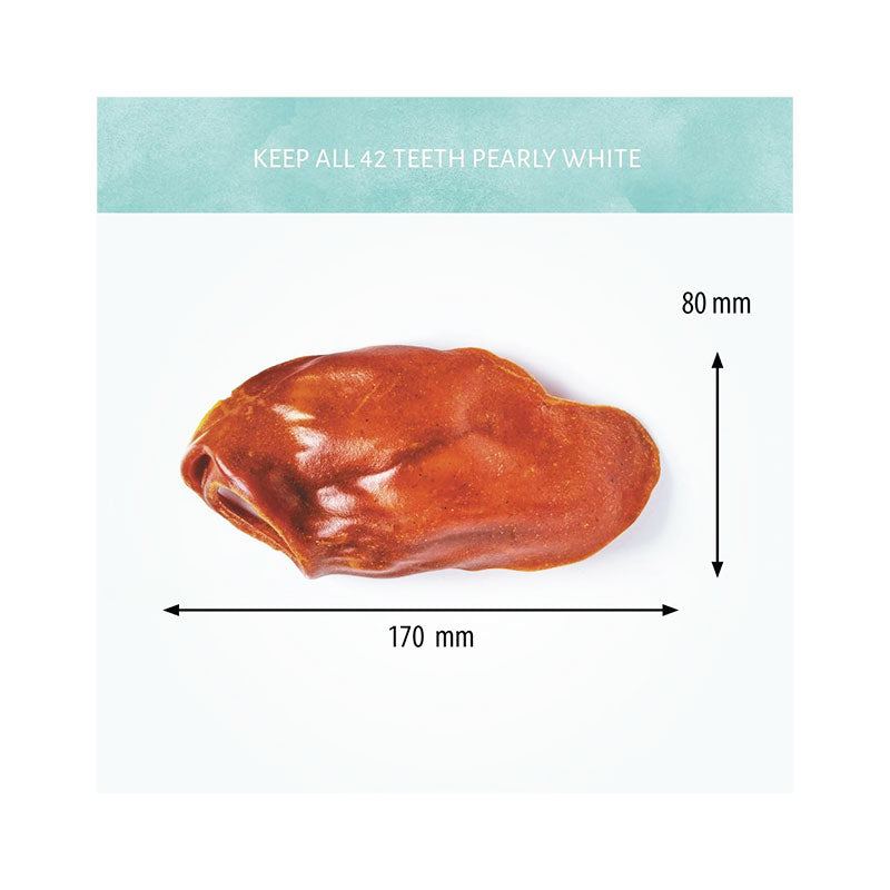 Antos Cerea - Ohr - 7 Stück (ca. 16cm)