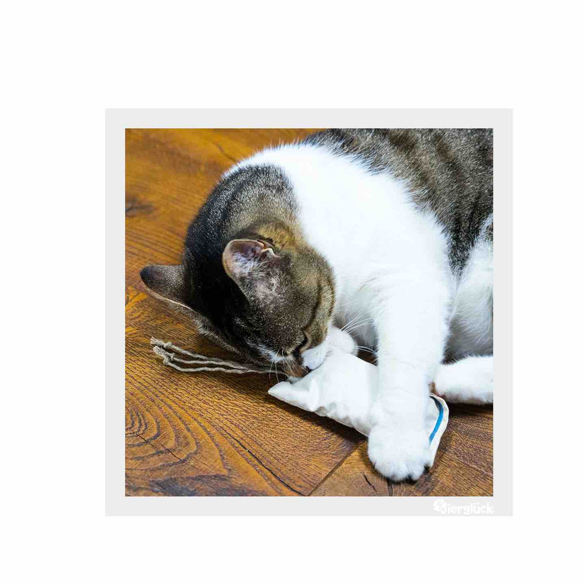 Vierglück Katzenminze - Spielkissen