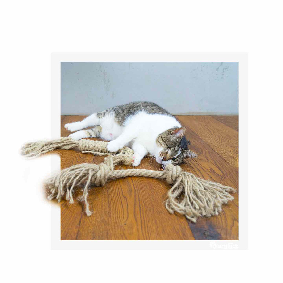 Vierglück Katzen Spielzeug -Tauspirale mit Seil