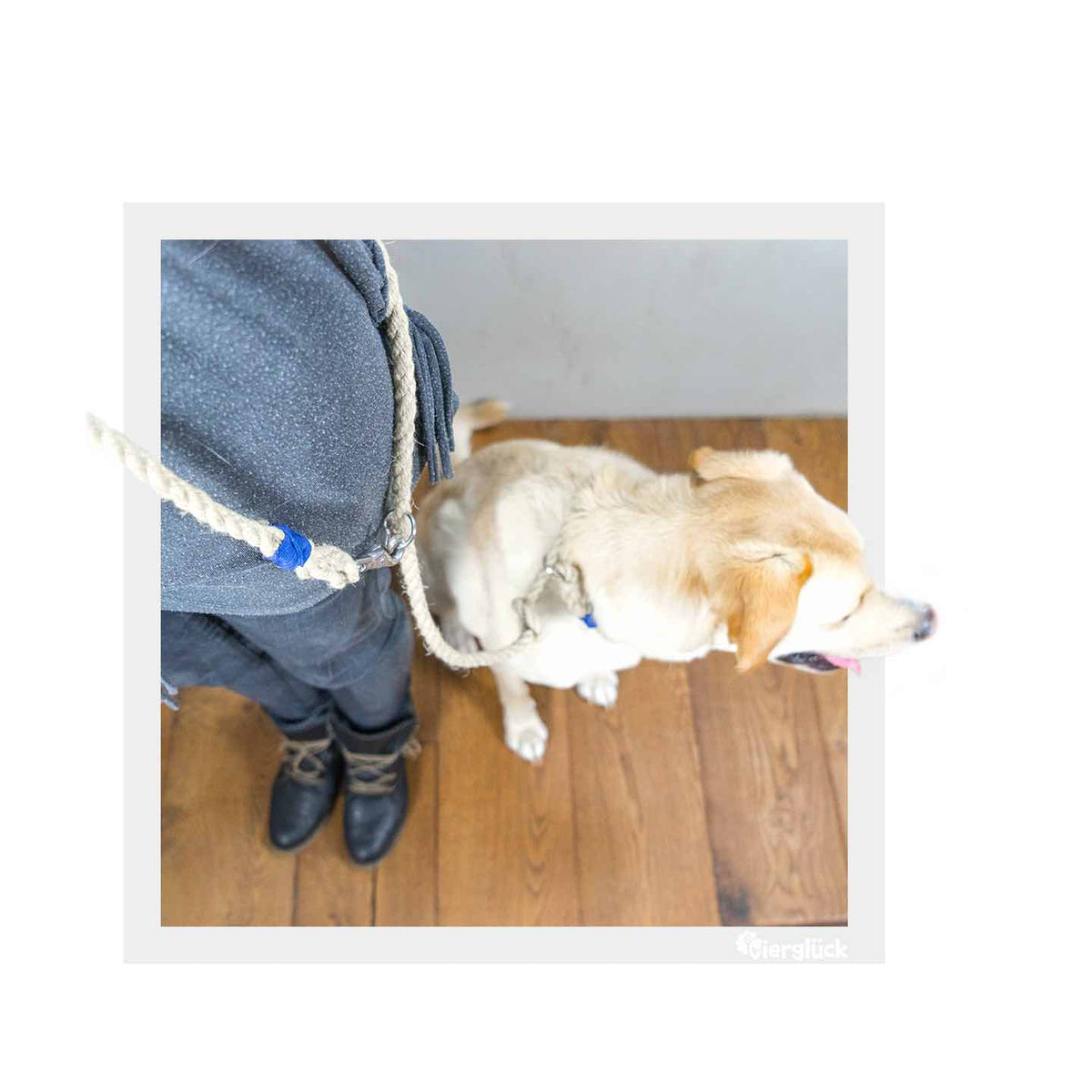 Vierglück Hundeleine inkl. Halsband - Hanftau (Moxon-Tauleine)