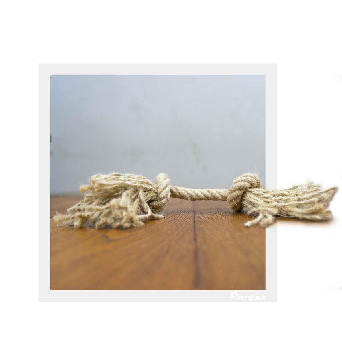 Vierglück Hunde Knotenseil