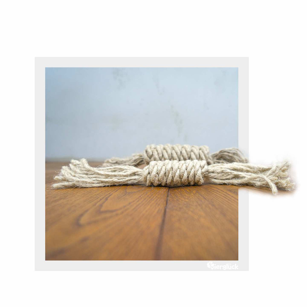 Vierglück Hunde Tauspirale