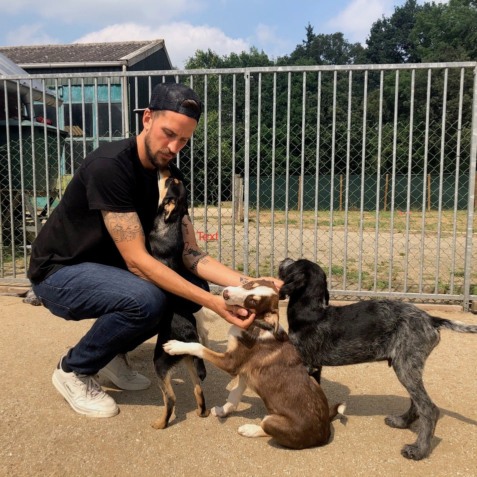 ehem. Profifußballspieler beim VfL Bochum Patrick Fabian mit 3 Hunden