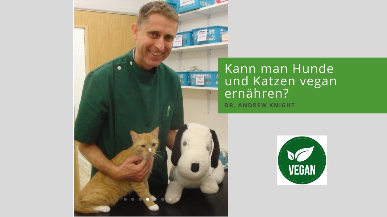 Dr. Andrew Knight - Experte für vegane Tierernährung